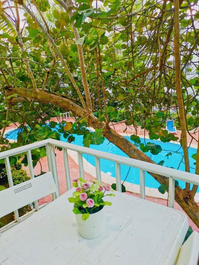 Sol Caribe Suites Deluxe Los Corales Beach And Pool Hotel