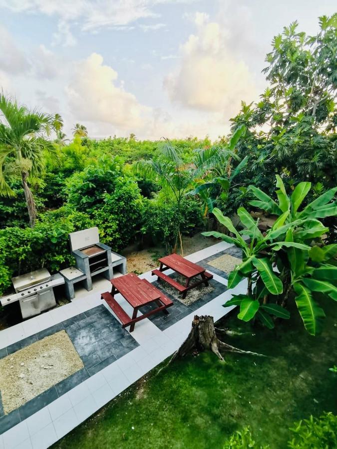 Sol Caribe Suites Deluxe Los Corales Beach And Pool Hotel